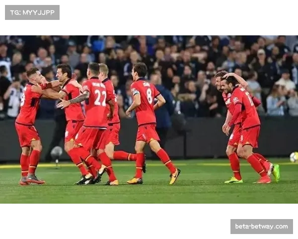 新赛季澳超阿德莱德联球队巡礼 高举进攻大旗与经验老将并肩作战